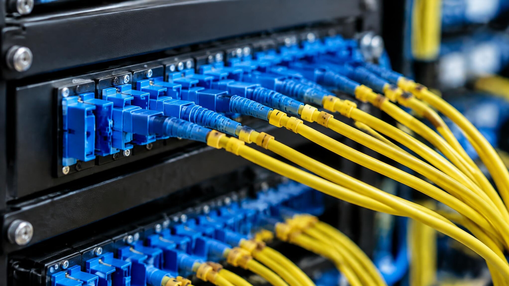 Fibre optic patch panel with blue and yellow cables